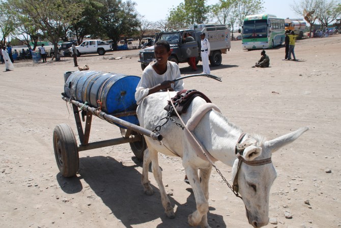 DSC_0078 (2) - Kopie