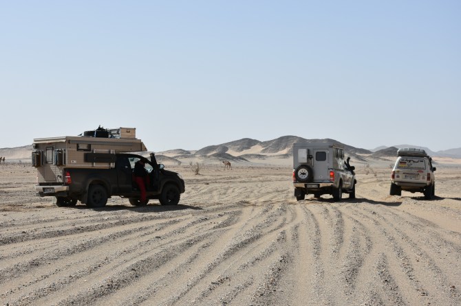 DSC_0525_Bildgröße ändern - Kopie