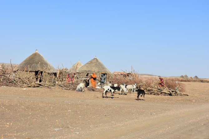 DSC_0575_Bildgröße ändern