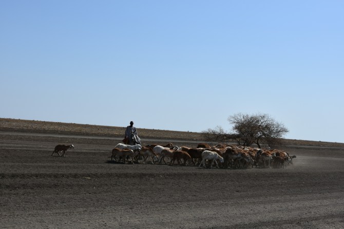 DSC_0576_Bildgröße ändern