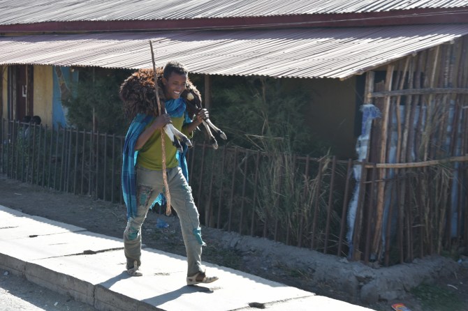 DSC_0597_Bildgröße ändern