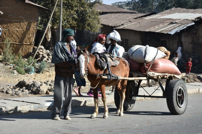 DSC_0599_Bildgröße ändern